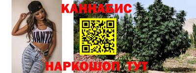 МДПВ Новодвинск