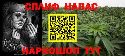 МДПВ Новодвинск