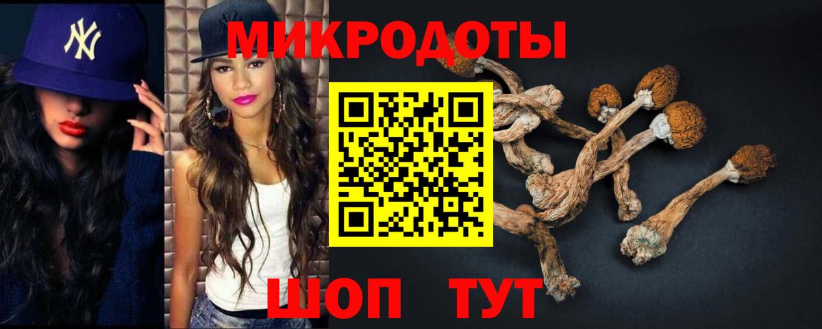 Галлюциногенные грибы Magic Shrooms Чайковский